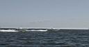 Ship Island 2006 099.jpg